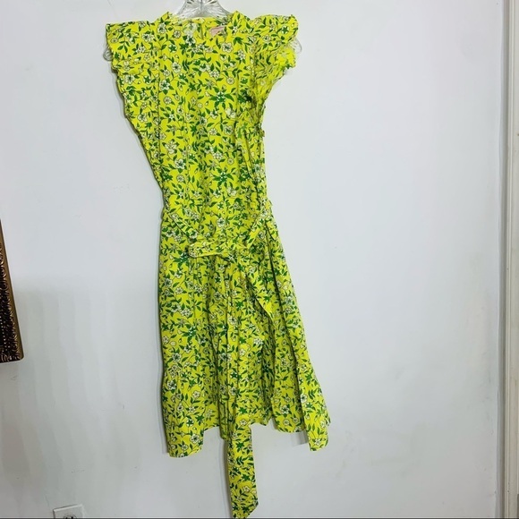 BANJANAN Audrey Mini Dress Yellow green Audrey Aurora Print dress small new - Picture 9 of 10